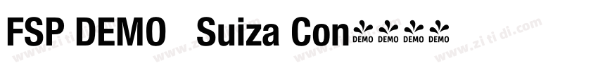 FSP DEMO   Suiza Con字体转换